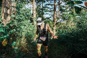 BIB: 
                            <button type="button" onclick="openModal(25658350)" class="btn btn-primary btn-sm float-right btn-popup" data-toggle="modal" data-target=".modal-high-quality">
                        <i class="fas fa-shopping-cart"></i> Add to Cart
                    </button>
                                            <button type="button" onclick="isThisMe(25658350, true)" class="btn btn-success btn-sm float-right btn-popup btn-isme hidden" data-toggle="tooltip" data-placement="bottom" title="นี่คือรูปของคุณใช่ไหม คลิกที่นี่เพื่อเอาเข้าอัลบั้ม">
                        <i class="fas fa-plus"></i> Add to album
                    </button>
                    <button type="button" onclick="isThisMe(25658350, false)" class="btn btn-warning btn-sm float-right btn-popup btn-isnotme hidden">
                        <i class="fas fa-ban"></i> Remove from album
                    </button>